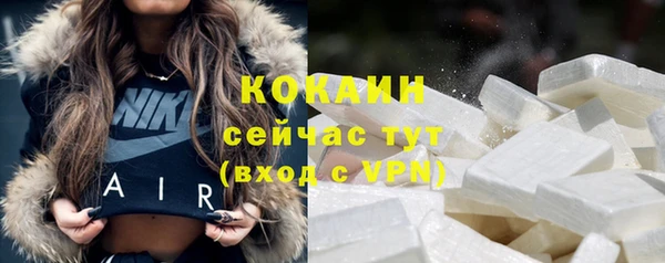 стафф Кодинск