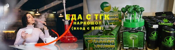 индика Козельск