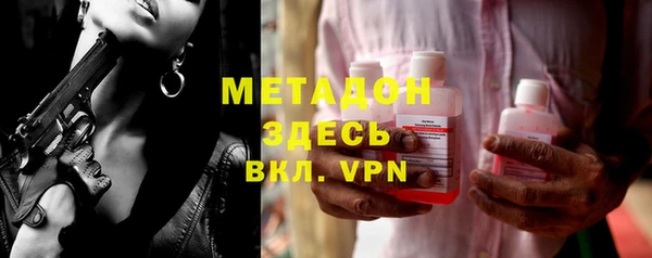 индика Козельск