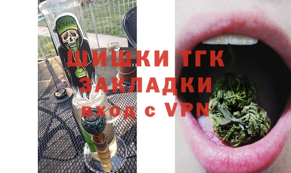 индика Козельск
