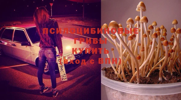 амф Кинешма